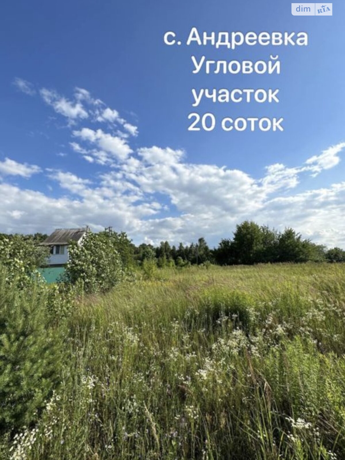 Земельный участок под жилую застройку в Андреевке, площадь 20 соток фото 1