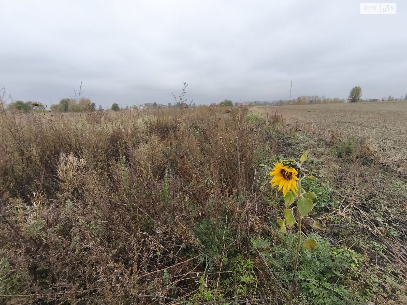 Земельна ділянка під житлову забудову в Андріївці, площа 25 соток фото 1