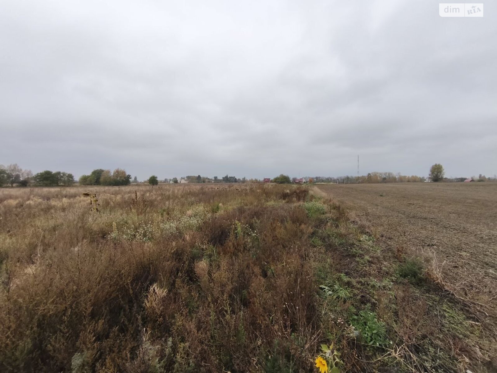 Земельна ділянка під житлову забудову в Андріївці, площа 25 соток фото 1