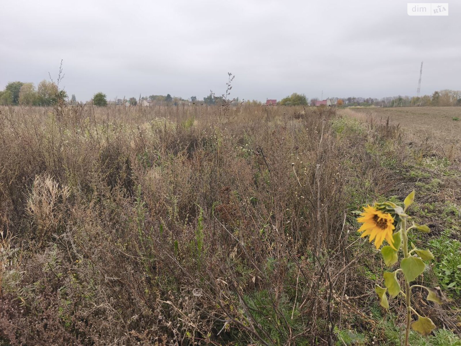 Земельна ділянка під житлову забудову в Андріївці, площа 25 соток фото 1