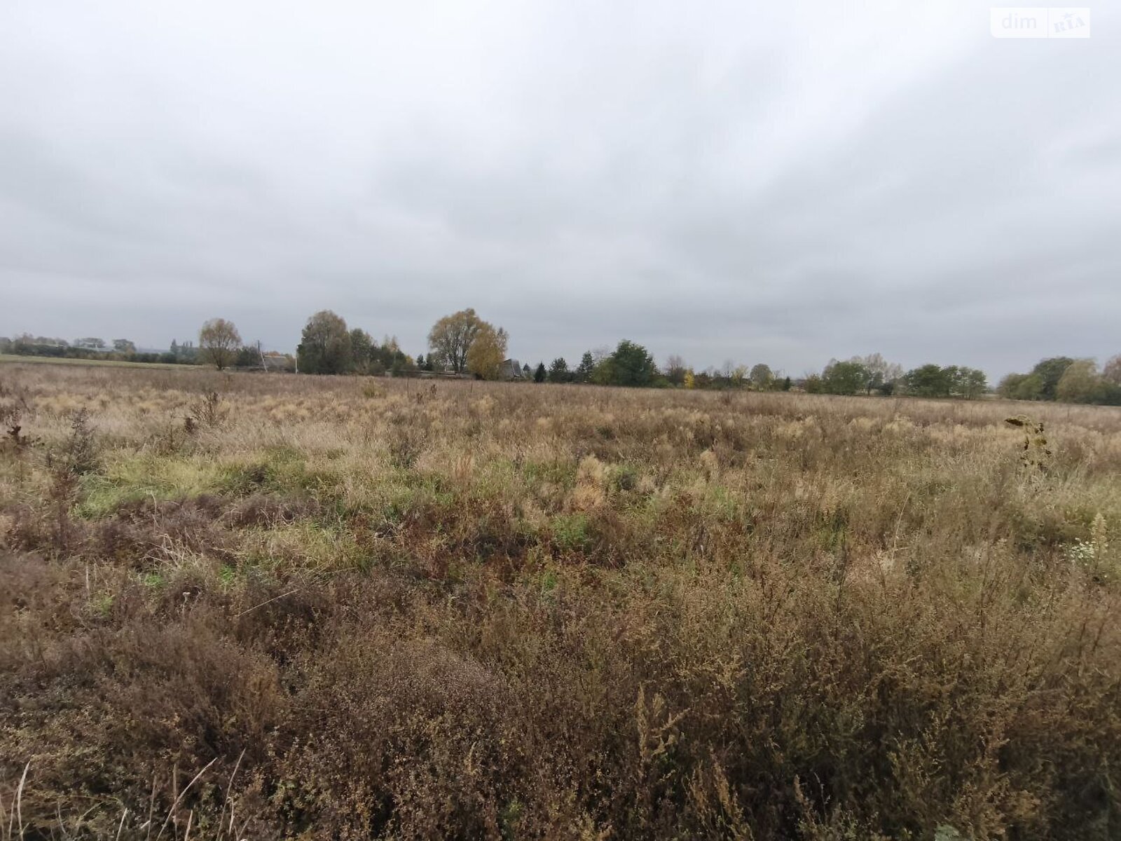 Земельна ділянка під житлову забудову в Андріївці, площа 25 соток фото 1