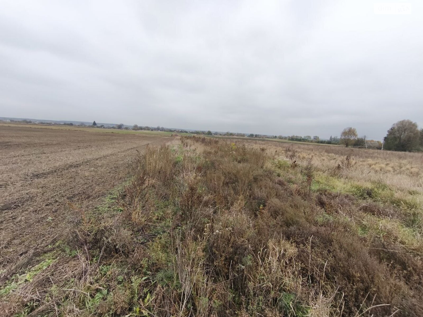 Земельна ділянка під житлову забудову в Андріївці, площа 25 соток фото 1