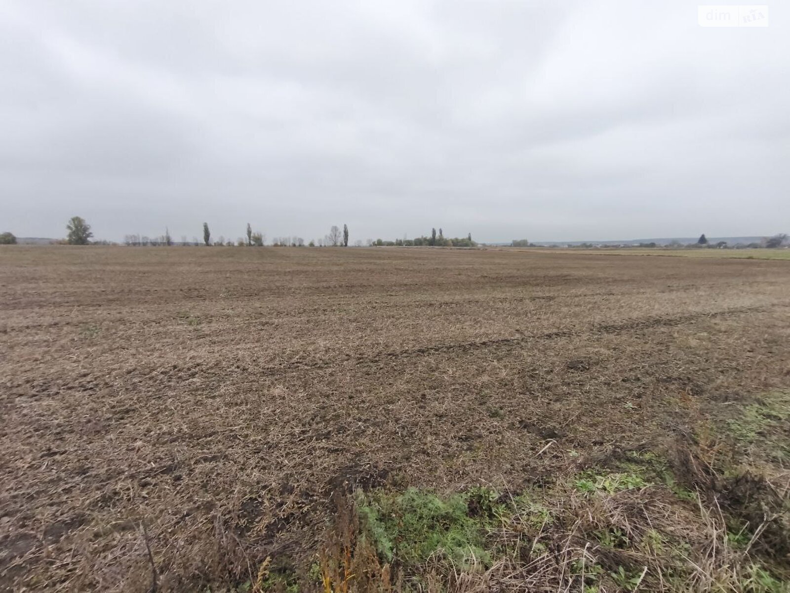 Земельна ділянка під житлову забудову в Андріївці, площа 25 соток фото 1