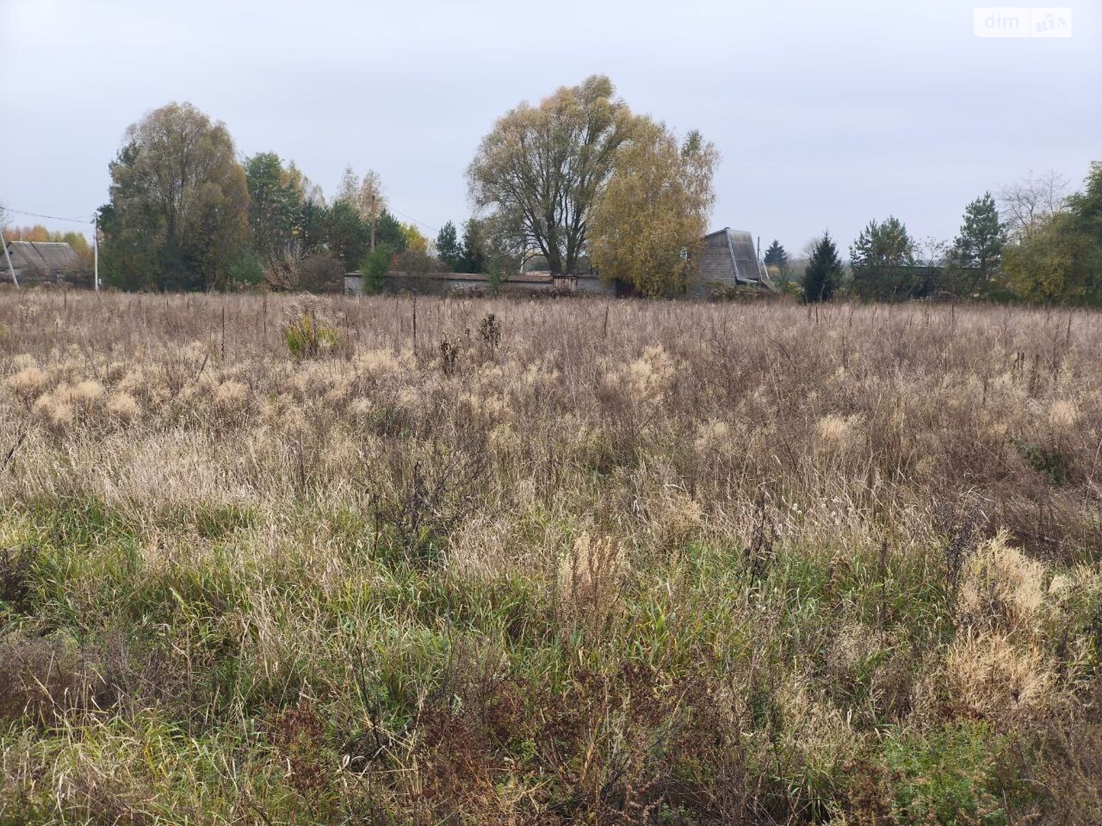 Земельна ділянка під житлову забудову в Андріївці, площа 25 соток фото 1