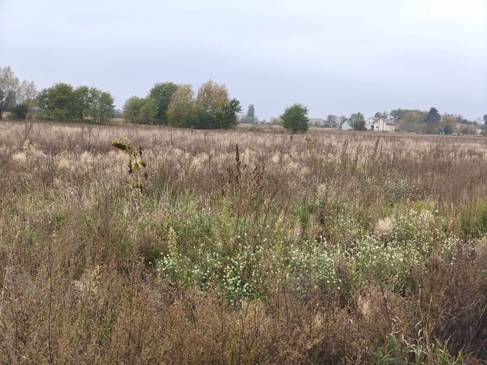 Земельна ділянка під житлову забудову в Андріївці, площа 25 соток фото 1