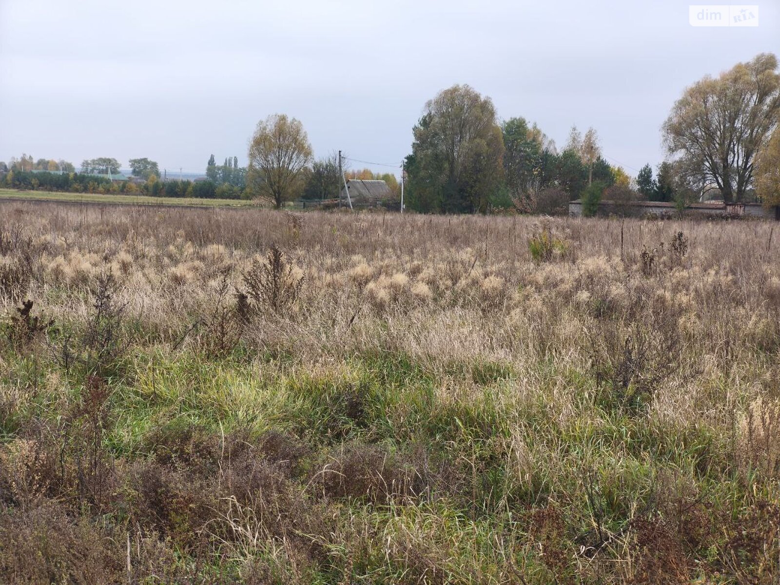 Земельна ділянка під житлову забудову в Андріївці, площа 25 соток фото 1