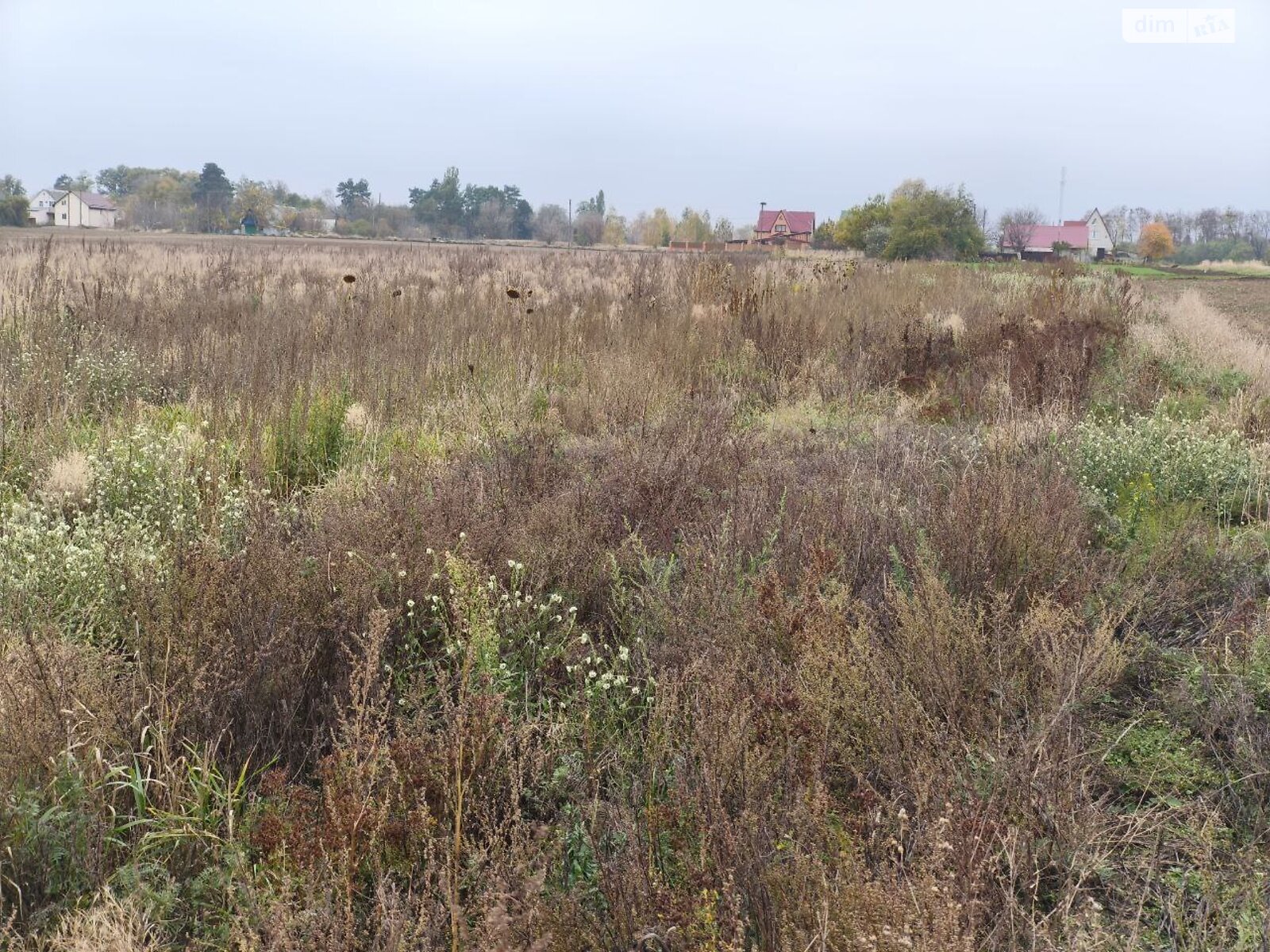 Земельна ділянка під житлову забудову в Андріївці, площа 25 соток фото 1
