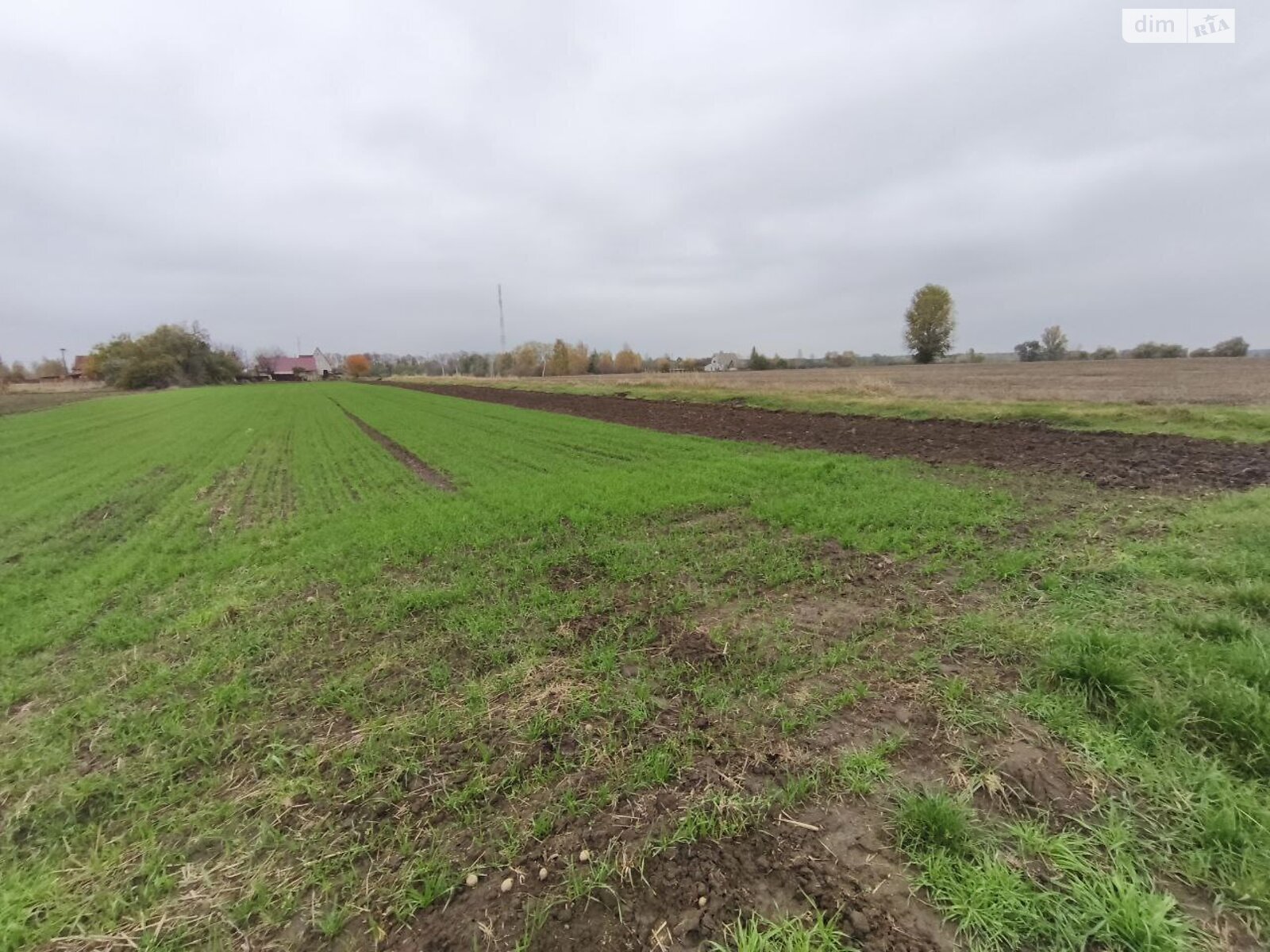 Земельна ділянка під житлову забудову в Андріївці, площа 25 соток фото 1