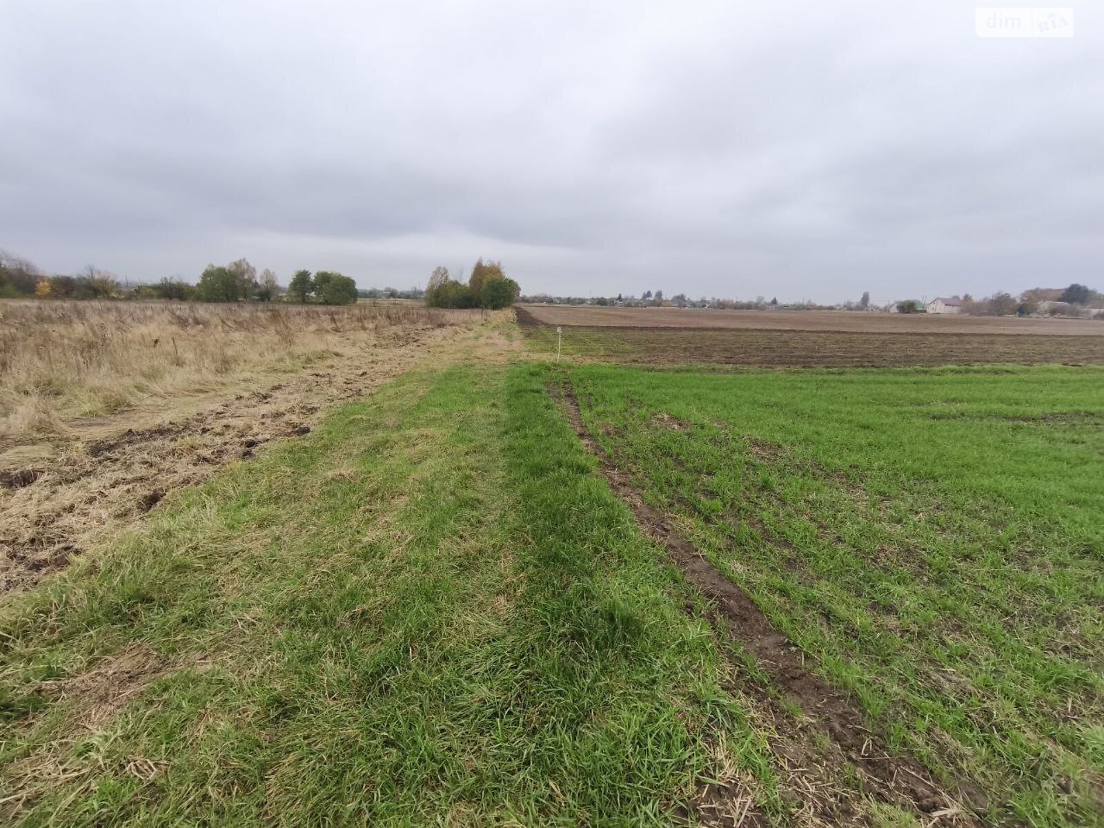 Земельна ділянка під житлову забудову в Андріївці, площа 25 соток фото 1