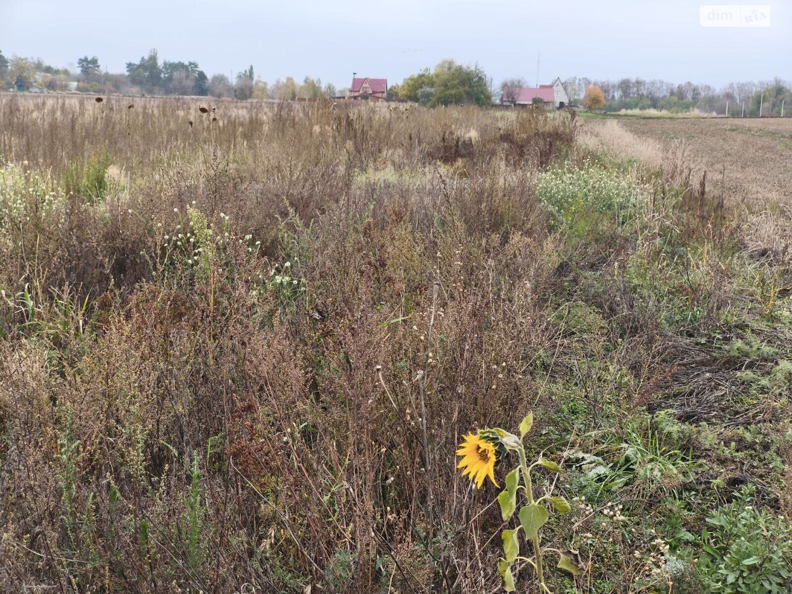 Земельна ділянка під житлову забудову в Андріївці, площа 25 соток фото 1