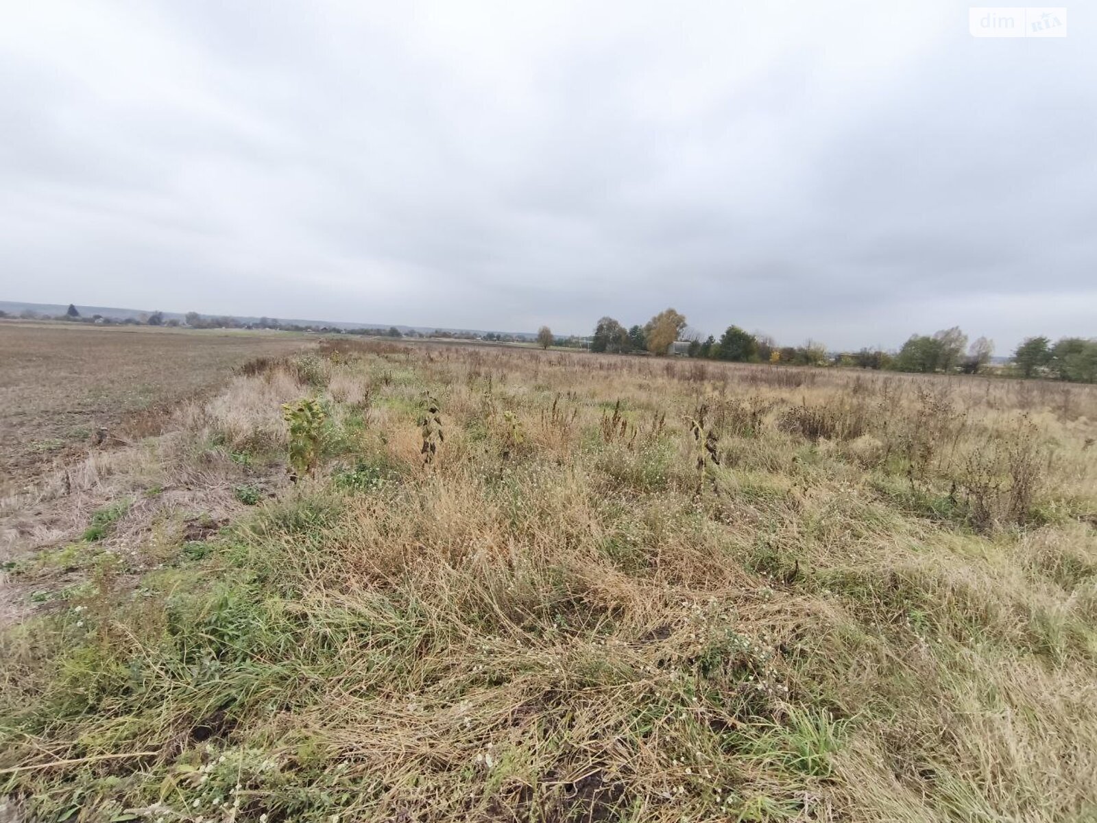 Земельна ділянка під житлову забудову в Андріївці, площа 25 соток фото 1