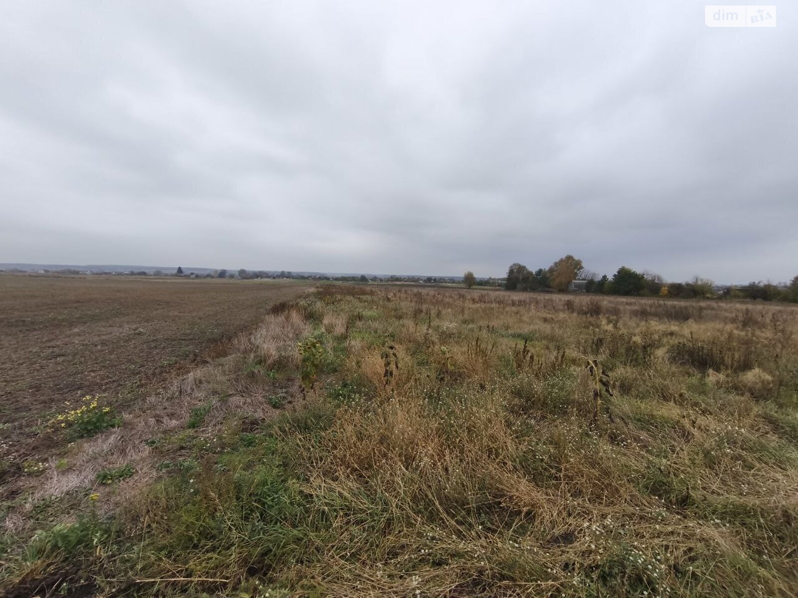 Земельна ділянка під житлову забудову в Андріївці, площа 25 соток фото 1