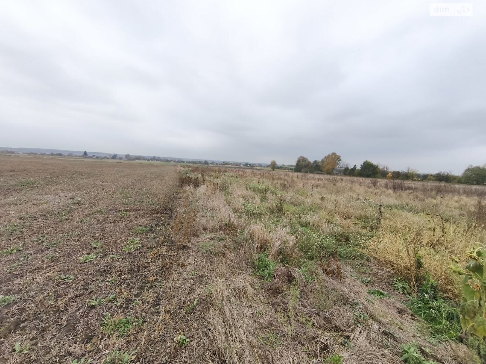 Земельна ділянка під житлову забудову в Андріївці, площа 25 соток фото 1