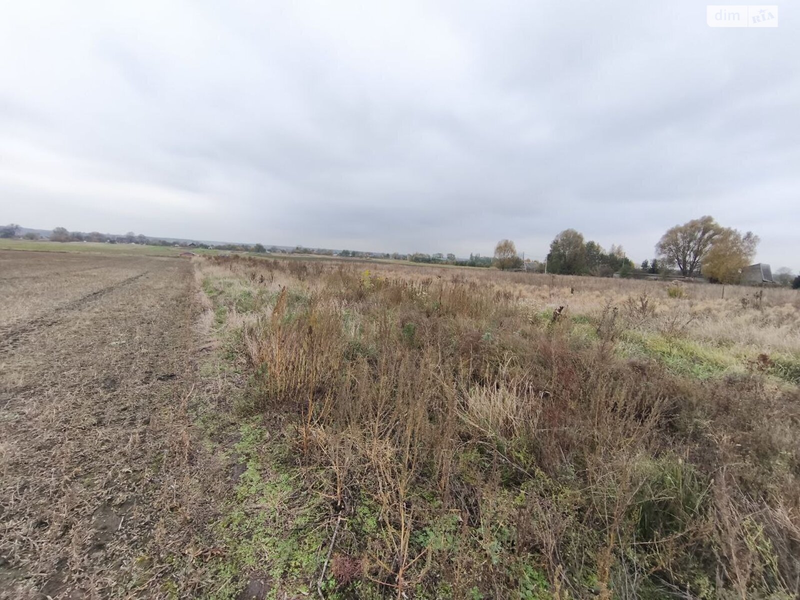 Земельна ділянка під житлову забудову в Андріївці, площа 25 соток фото 1