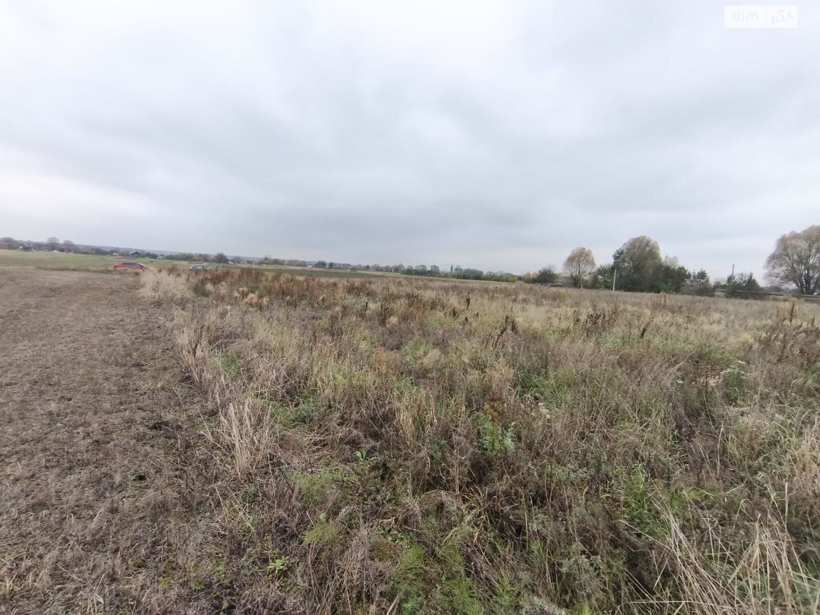 Земельна ділянка під житлову забудову в Андріївці, площа 25 соток фото 1