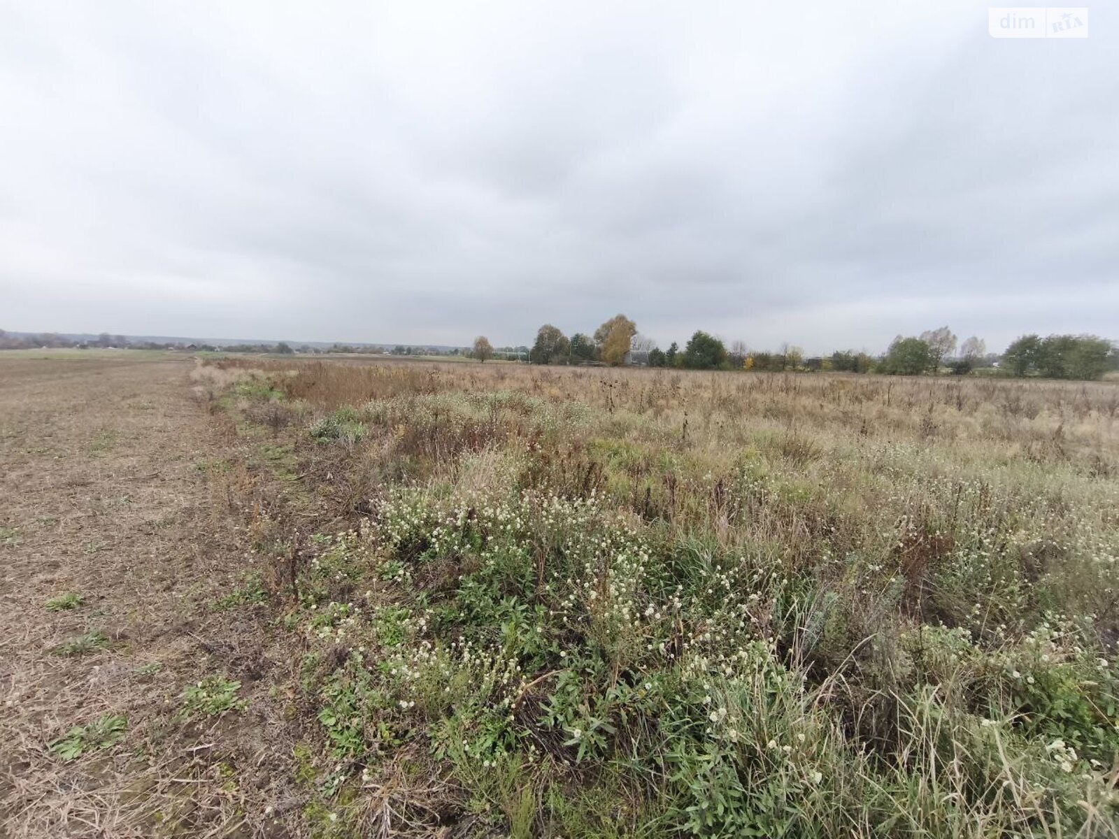 Земельна ділянка під житлову забудову в Андріївці, площа 25 соток фото 1