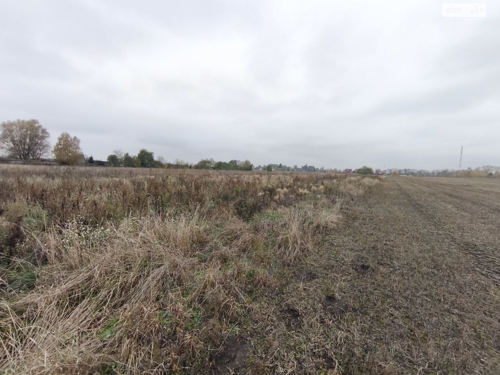 Земельна ділянка під житлову забудову в Андріївці, площа 25 соток фото 1
