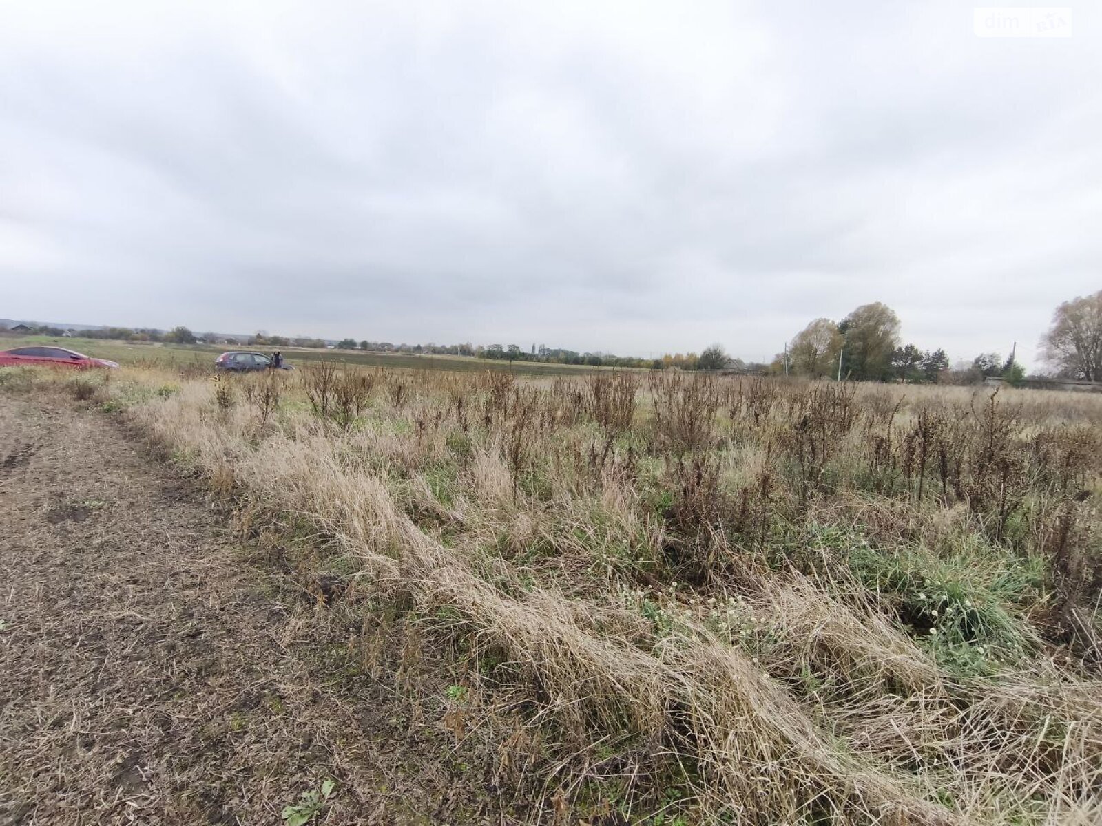 Земельна ділянка під житлову забудову в Андріївці, площа 25 соток фото 1