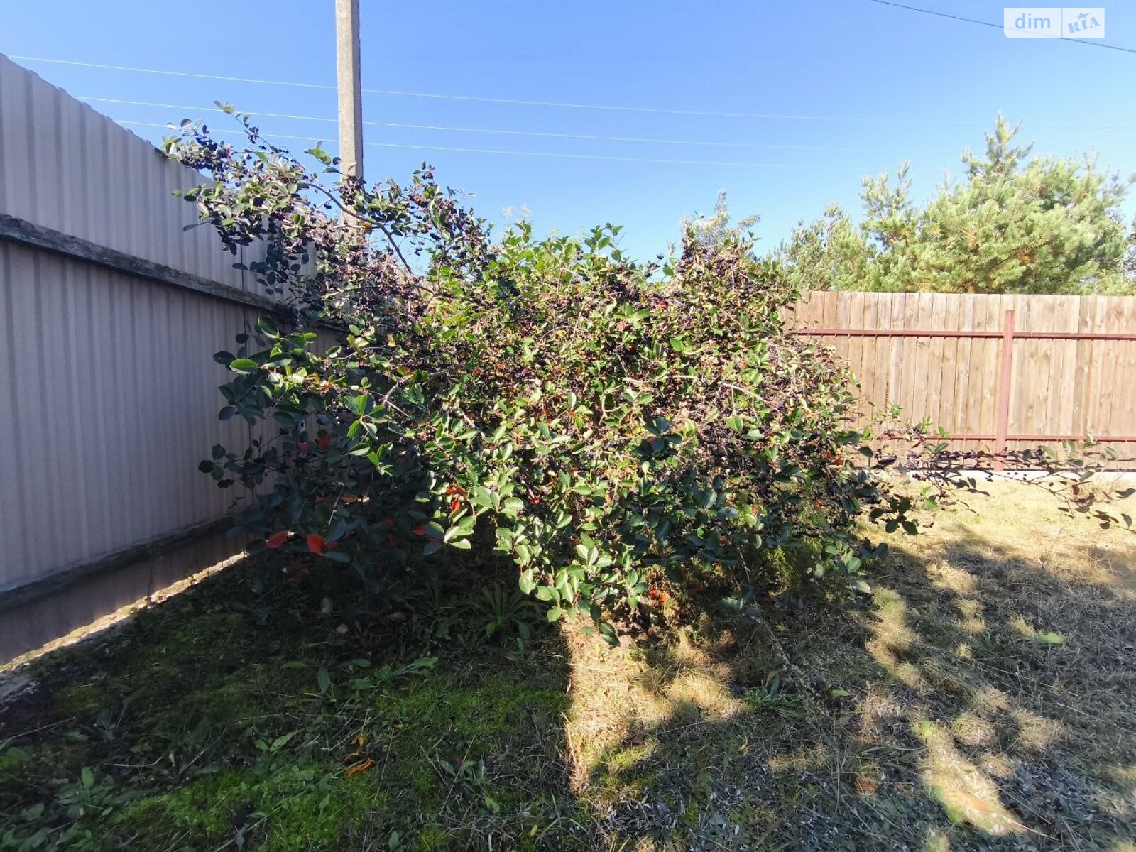 Земельна ділянка під житлову забудову в Андріївці, площа 6 соток фото 1 Земельна ділянка під житлову забудову в Андріївці, площа 6 соток фото 1