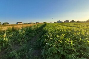 Земельный участок под жилую застройку в Ангеловке, площадь 15 соток фото 2