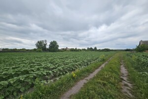 Земельна ділянка під житлову забудову в Артемівці, площа 12 соток фото 2