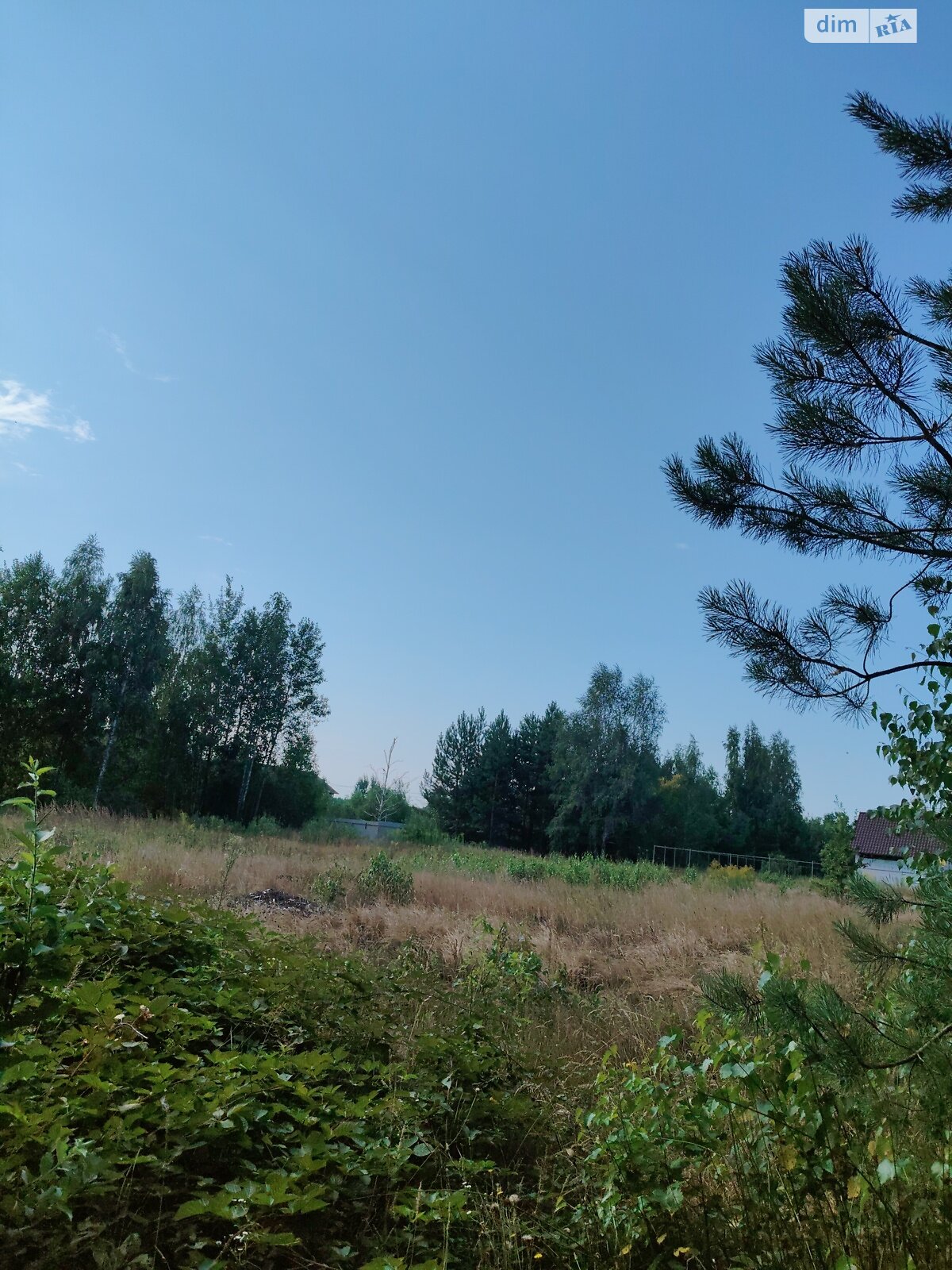 Земельна ділянка під житлову забудову в Бабинці, площа 11 соток фото 1