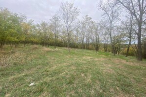 Земельный участок под жилую застройку в Бабурке, площадь 0.3387 Га фото 2 Земельный участок под жилую застройку в Бабурке, площадь 0.3387 Га фото 2