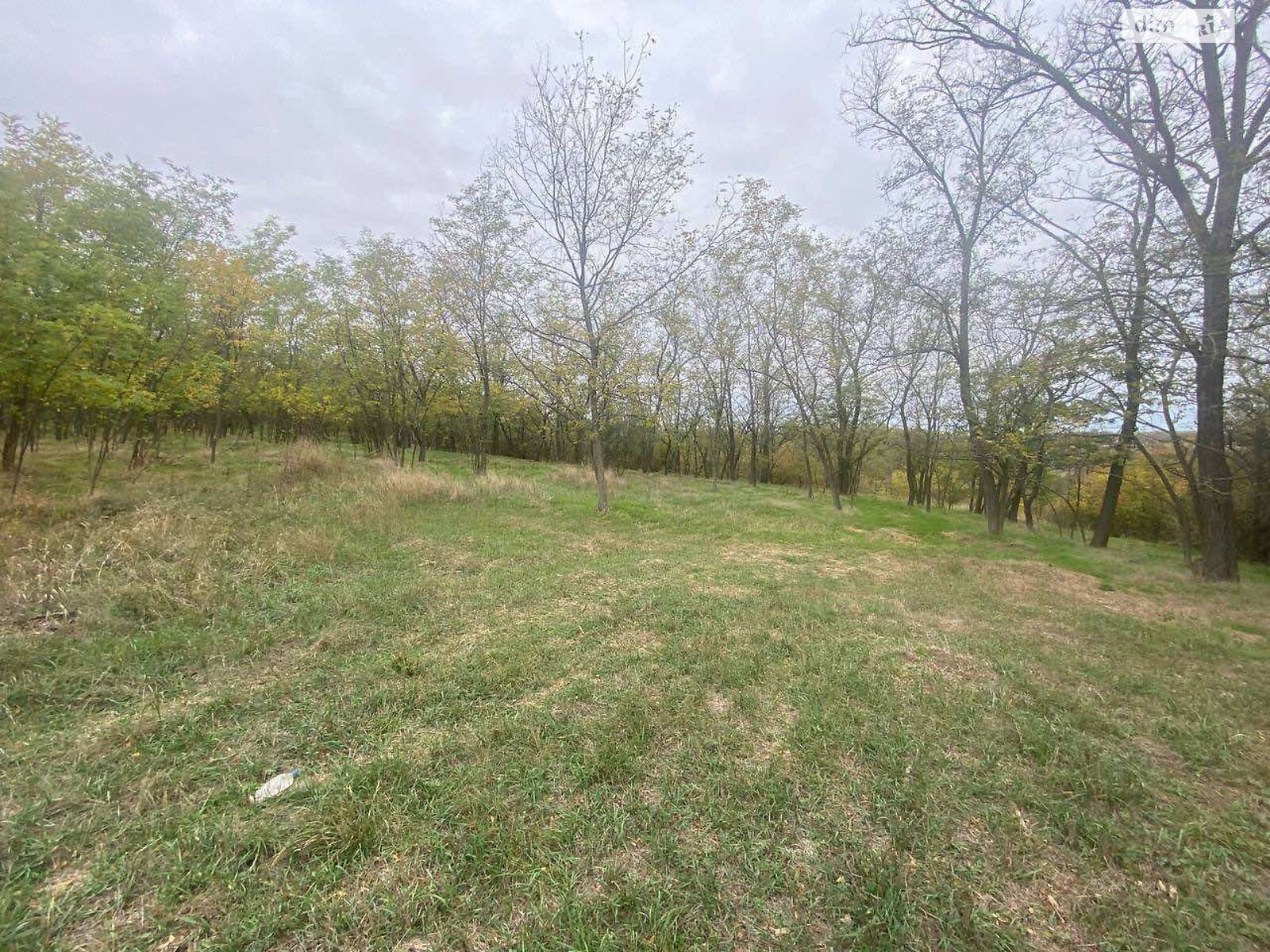 Земельный участок под жилую застройку в Бабурке, площадь 0.3387 Га фото 1 Земельный участок под жилую застройку в Бабурке, площадь 0.3387 Га фото 1