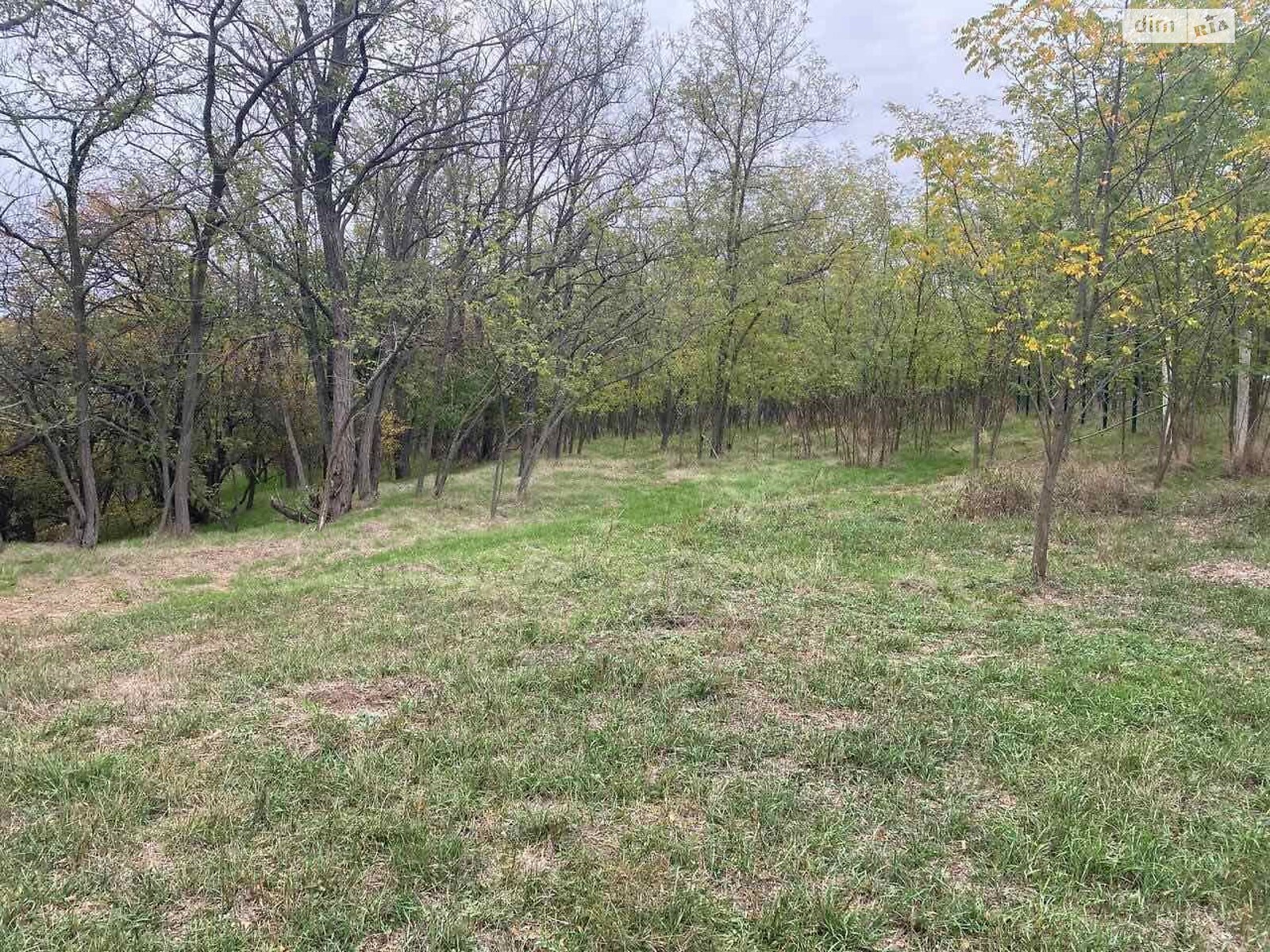 Земельный участок под жилую застройку в Бабурке, площадь 0.3387 Га фото 1 Земельный участок под жилую застройку в Бабурке, площадь 0.3387 Га фото 1