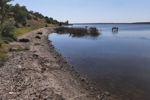 Земельный участок под жилую застройку в Баловном, площадь 12 соток фото 2