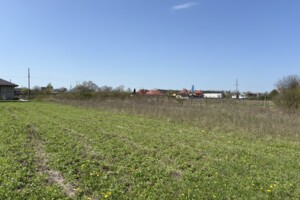 Земельна ділянка під житлову забудову в Баранинці, площа 11.18 сотки фото 2