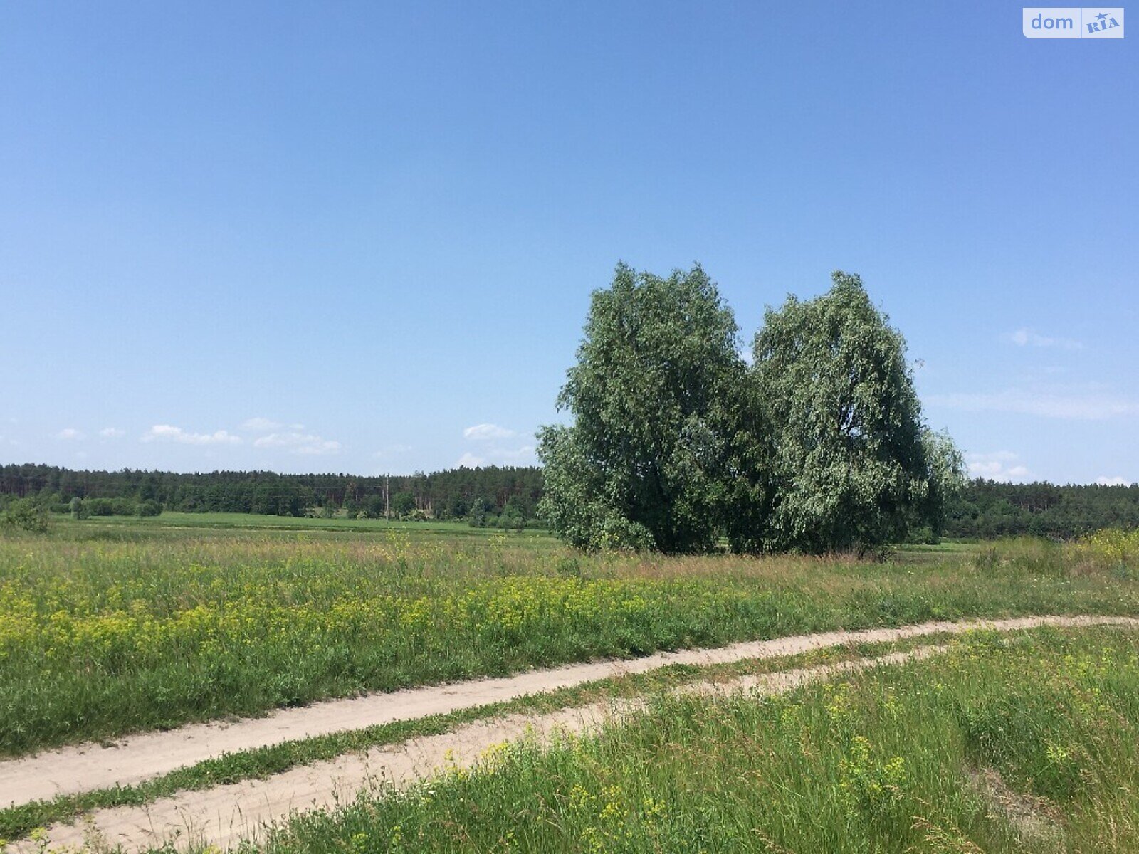 Земля під житлову забудову в Баришівці, район Баришівка, площа 11.2 сотки фото 1