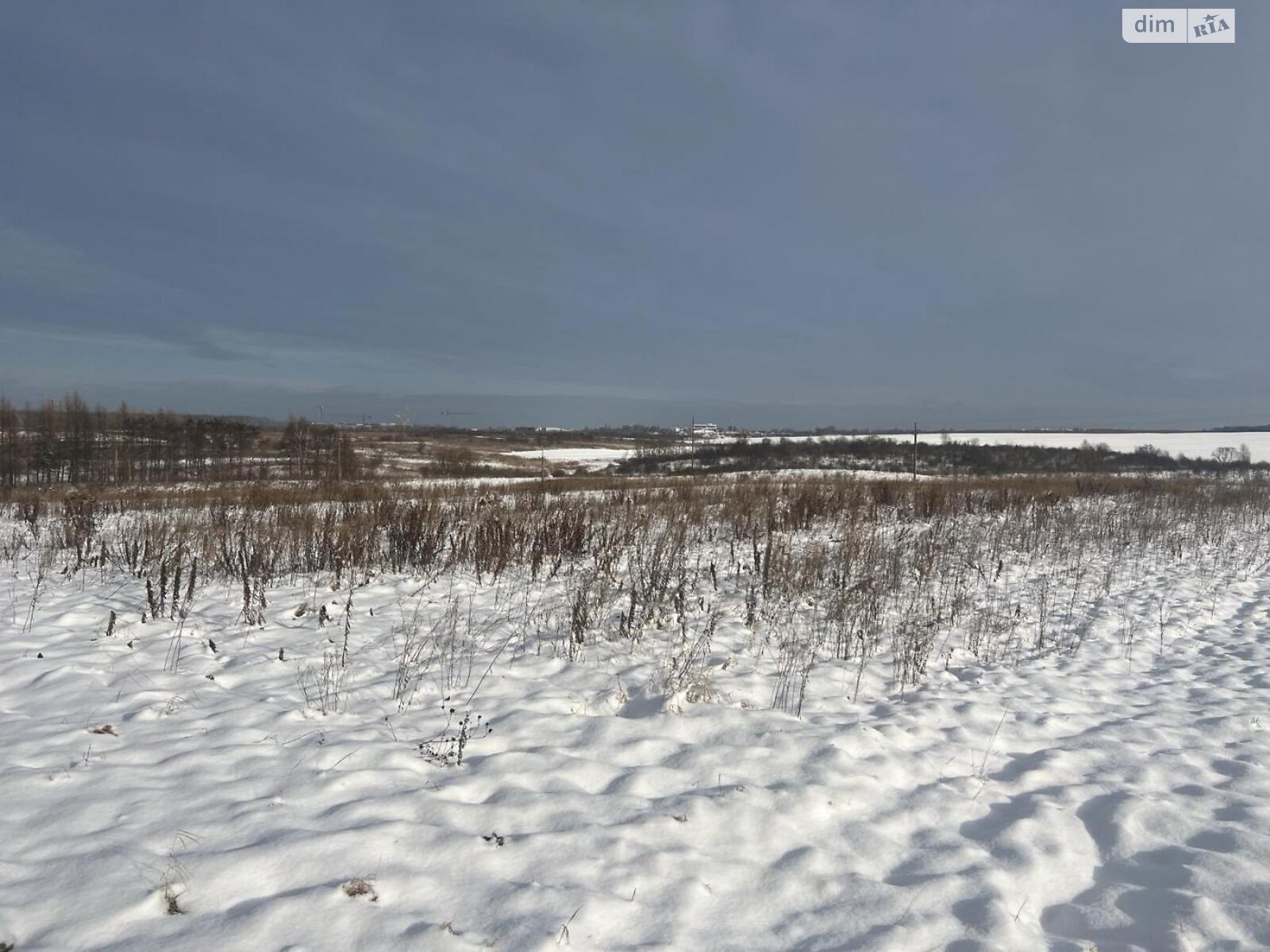 Земельна ділянка під житлову забудову в Басівці, площа 21 сотка фото 1 Земельна ділянка під житлову забудову в Басівці, площа 21 сотка фото 1
