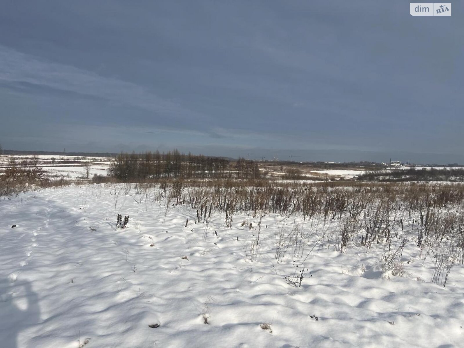 Земельна ділянка під житлову забудову в Басівці, площа 21 сотка фото 1 Земельна ділянка під житлову забудову в Басівці, площа 21 сотка фото 1