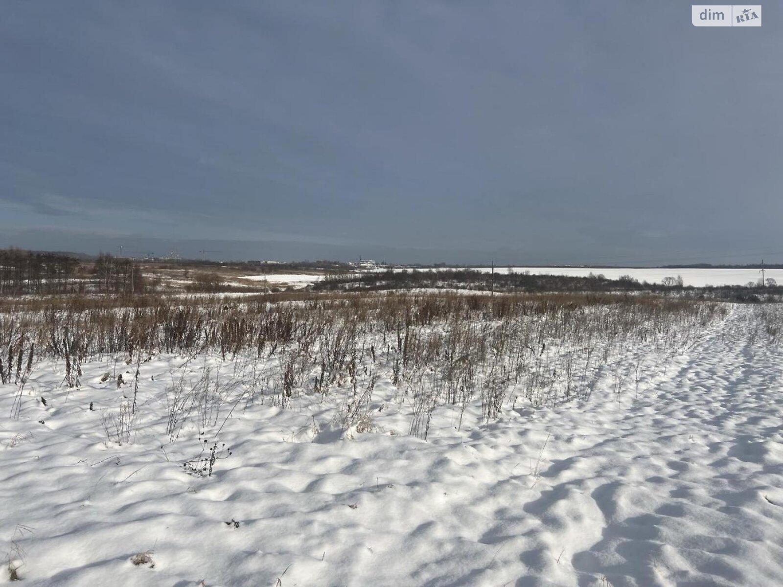 Земельна ділянка під житлову забудову в Басівці, площа 21 сотка фото 1 Земельна ділянка під житлову забудову в Басівці, площа 21 сотка фото 1