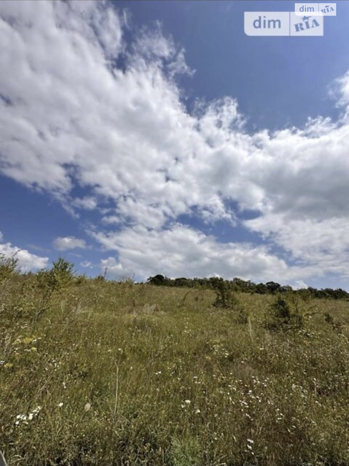 Земельна ділянка під житлову забудову в Байківці, площа 0.16 сотки фото 1