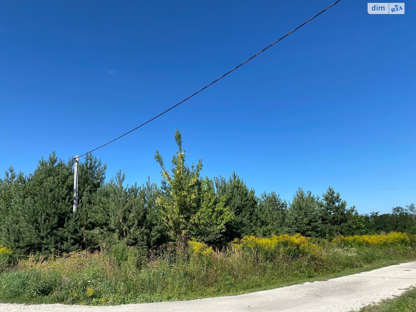 Земельна ділянка під житлову забудову в Байківці, площа 8 соток фото 1