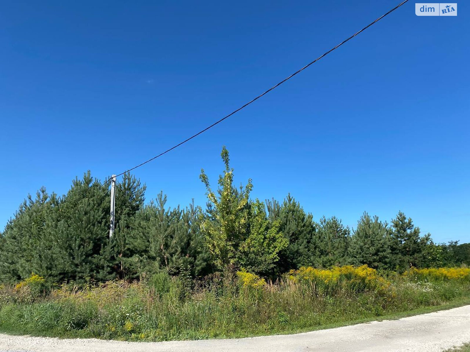 Земельна ділянка під житлову забудову в Байківці, площа 8 соток фото 1