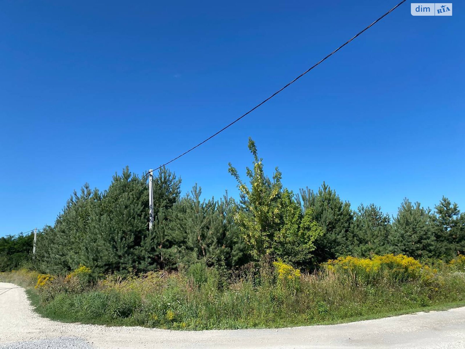 Земельна ділянка під житлову забудову в Байківці, площа 8 соток фото 1