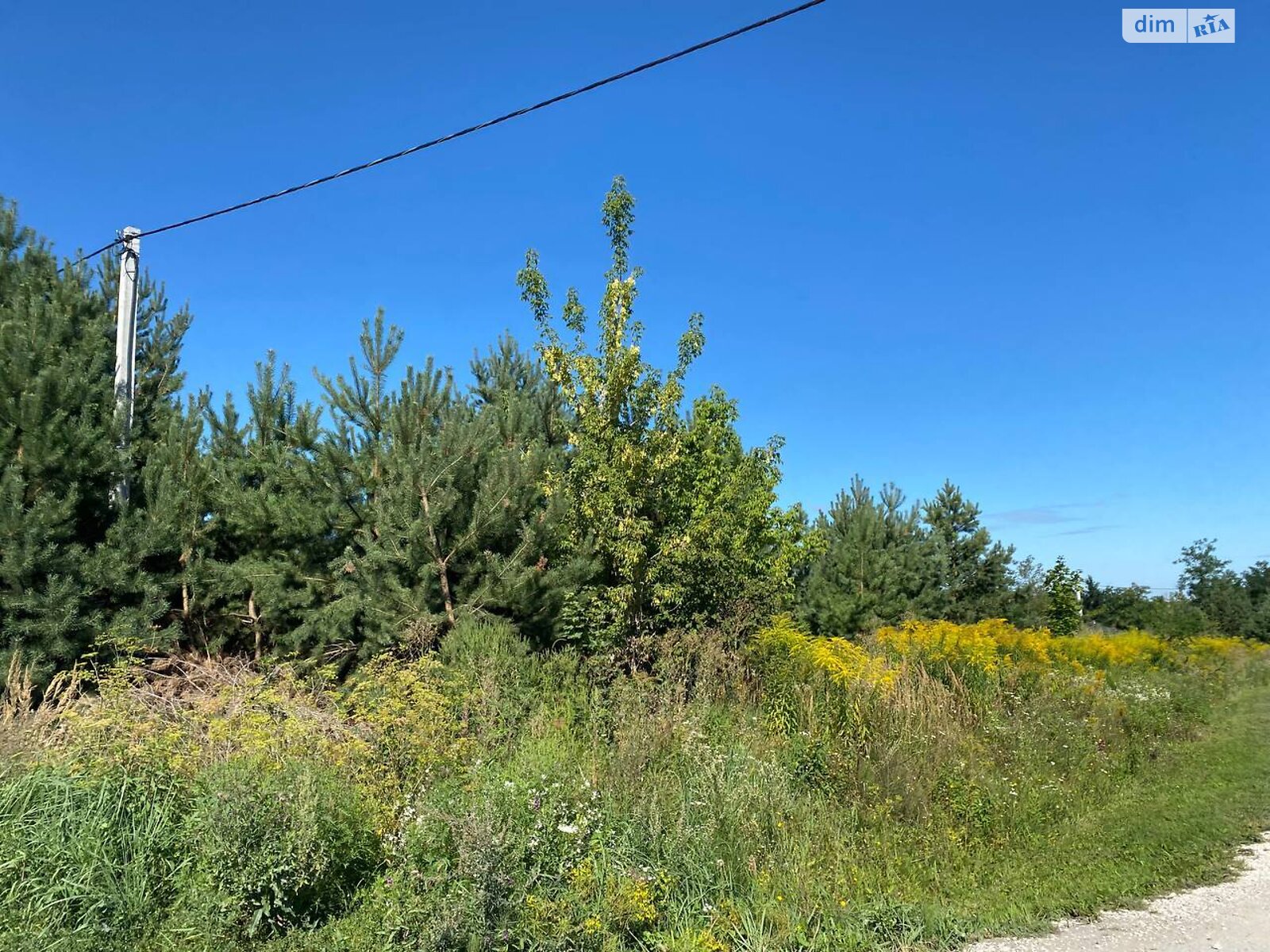 Земельна ділянка під житлову забудову в Байківці, площа 8 соток фото 1