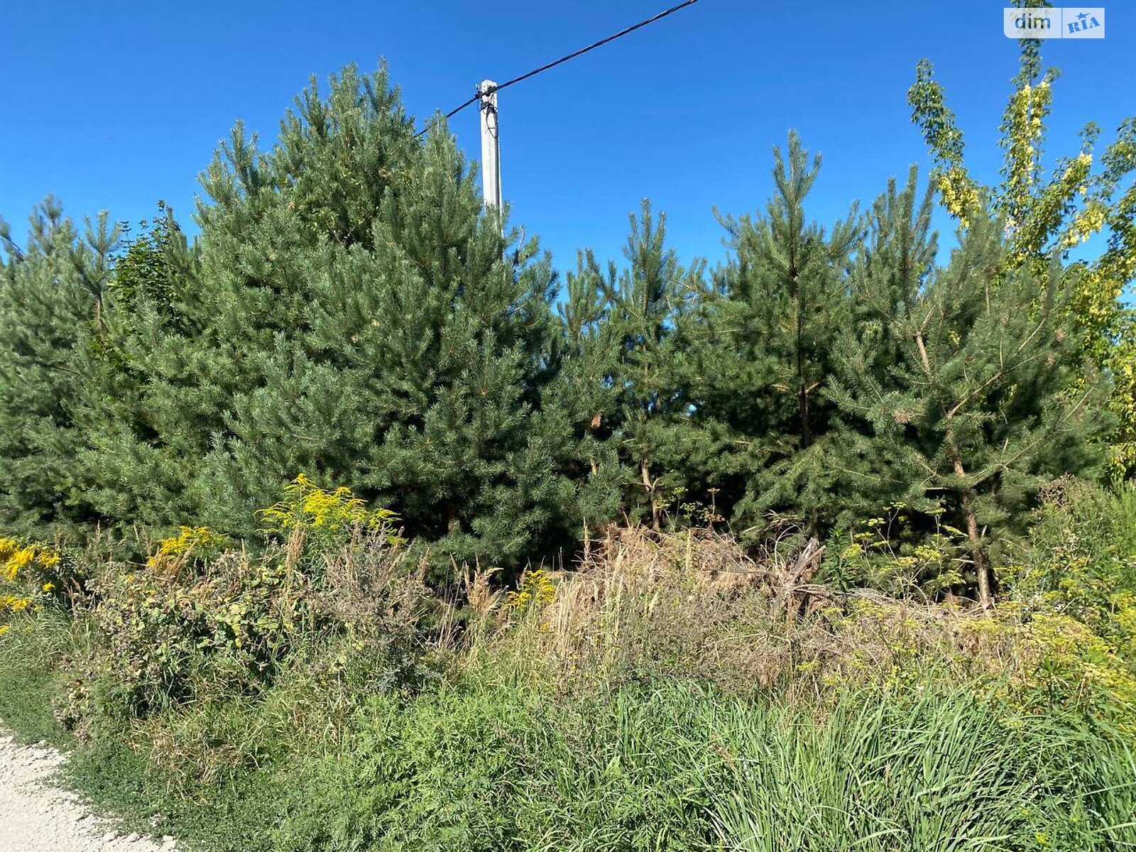 Земельна ділянка під житлову забудову в Байківці, площа 8 соток фото 1