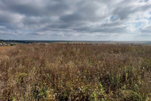 Земельный участок под жилую застройку в Байковцах, площадь 20 соток фото 2