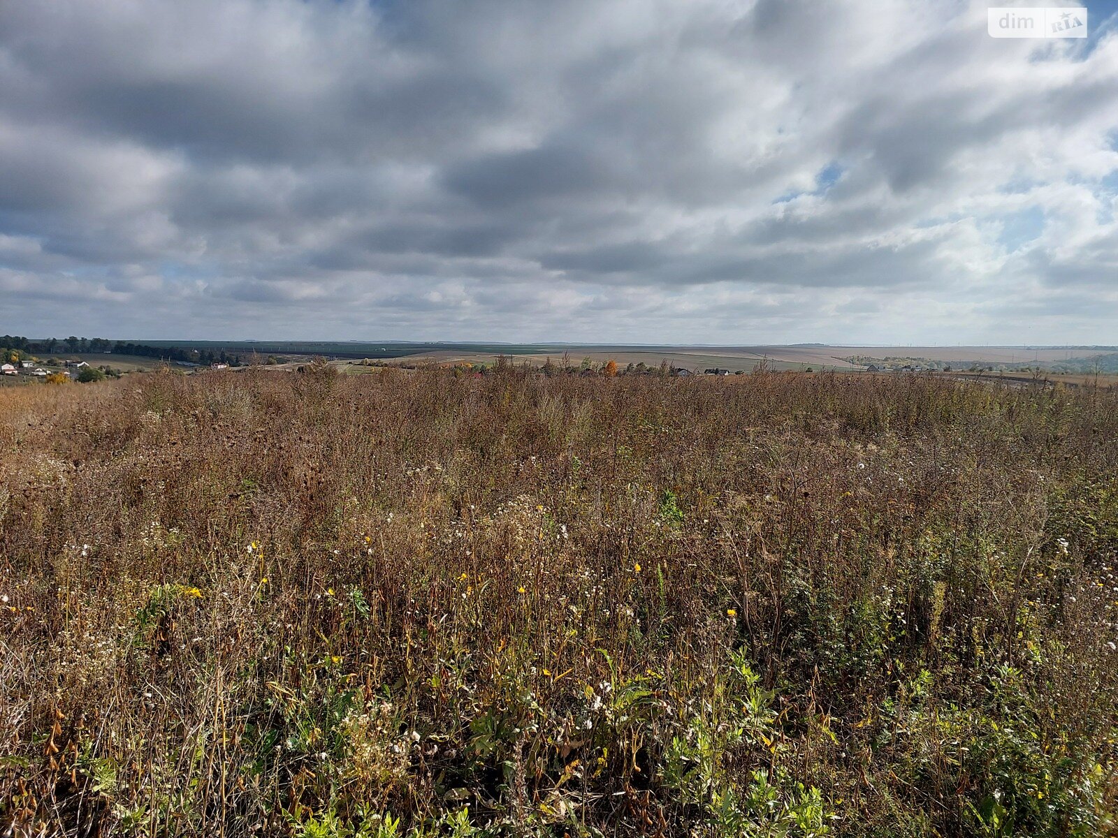 Земельный участок под жилую застройку в Байковцах, площадь 20 соток фото 1