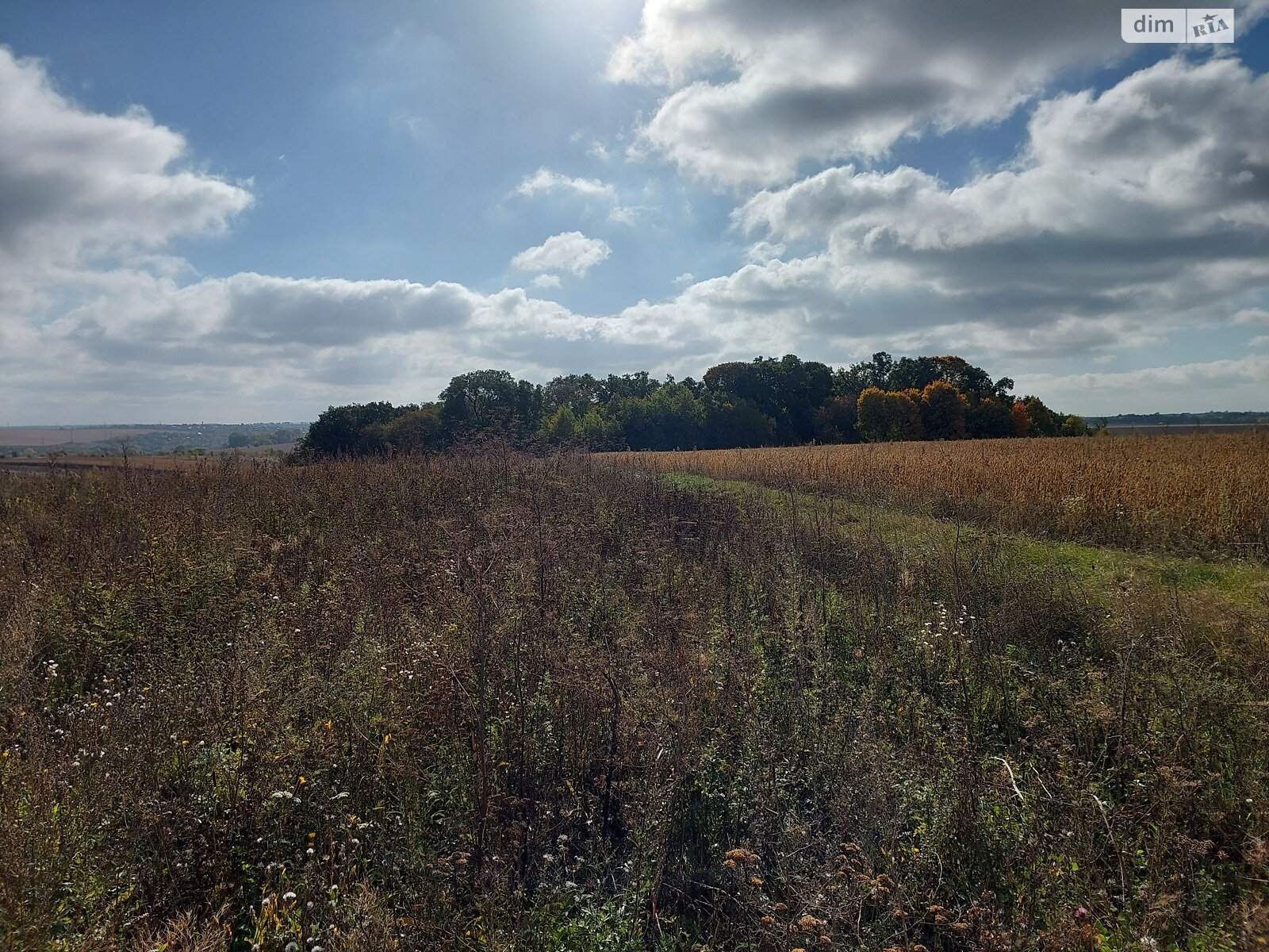 Земельный участок под жилую застройку в Байковцах, площадь 20 соток фото 1