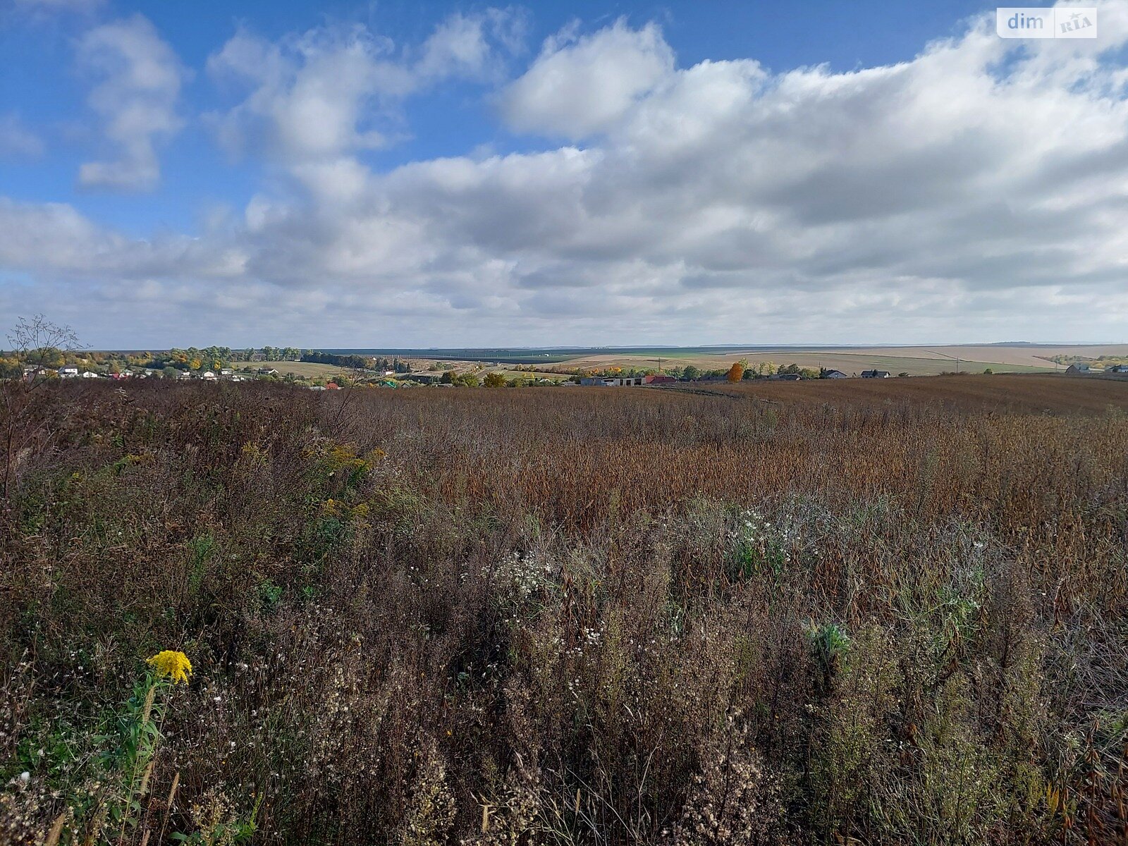 Земельный участок под жилую застройку в Байковцах, площадь 20 соток фото 1