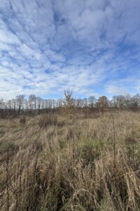 Земельный участок под жилую застройку в Байковцах, площадь 9 соток фото 2