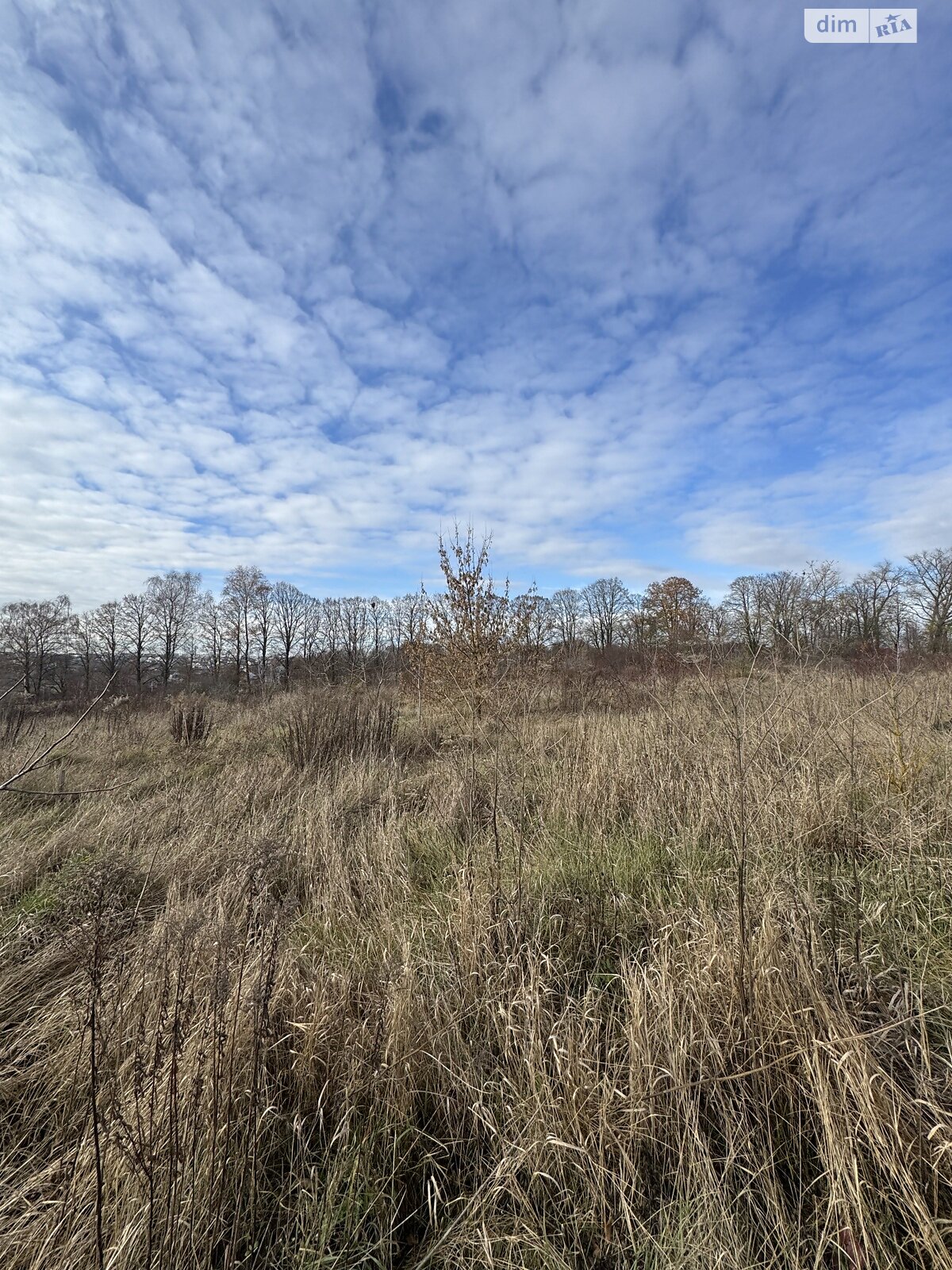 Земельный участок под жилую застройку в Байковцах, площадь 9 соток фото 1