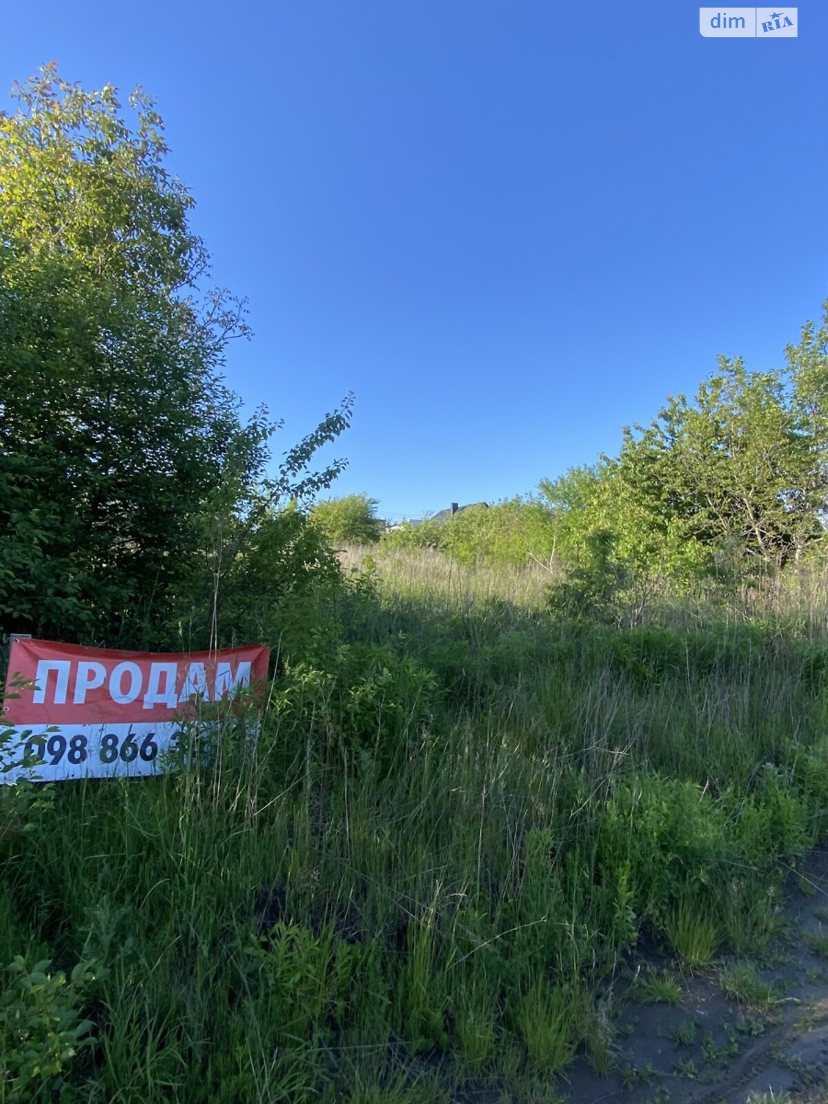 Земельна ділянка під житлову забудову в Білій Криниці, площа 10 соток фото 1 Земельна ділянка під житлову забудову в Білій Криниці, площа 10 соток фото 1