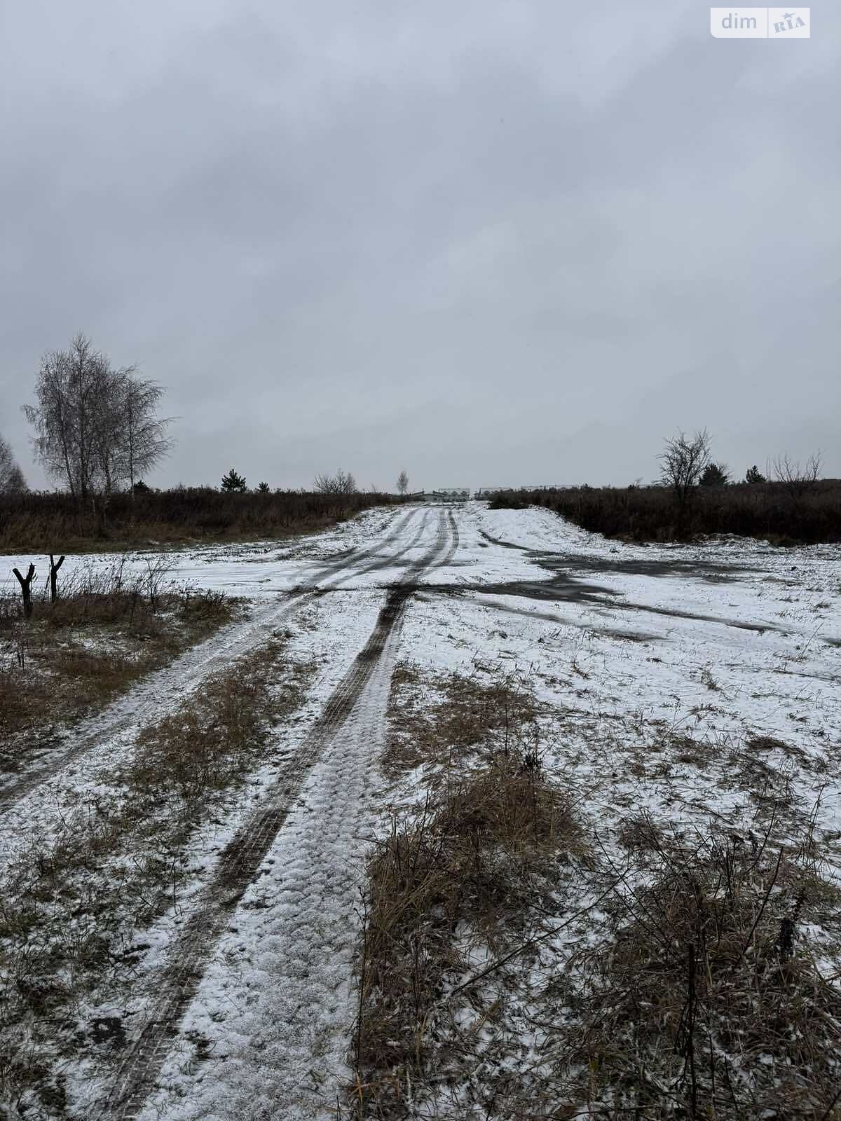 Земельна ділянка під житлову забудову в Білій Криниці, площа 24 сотки фото 1