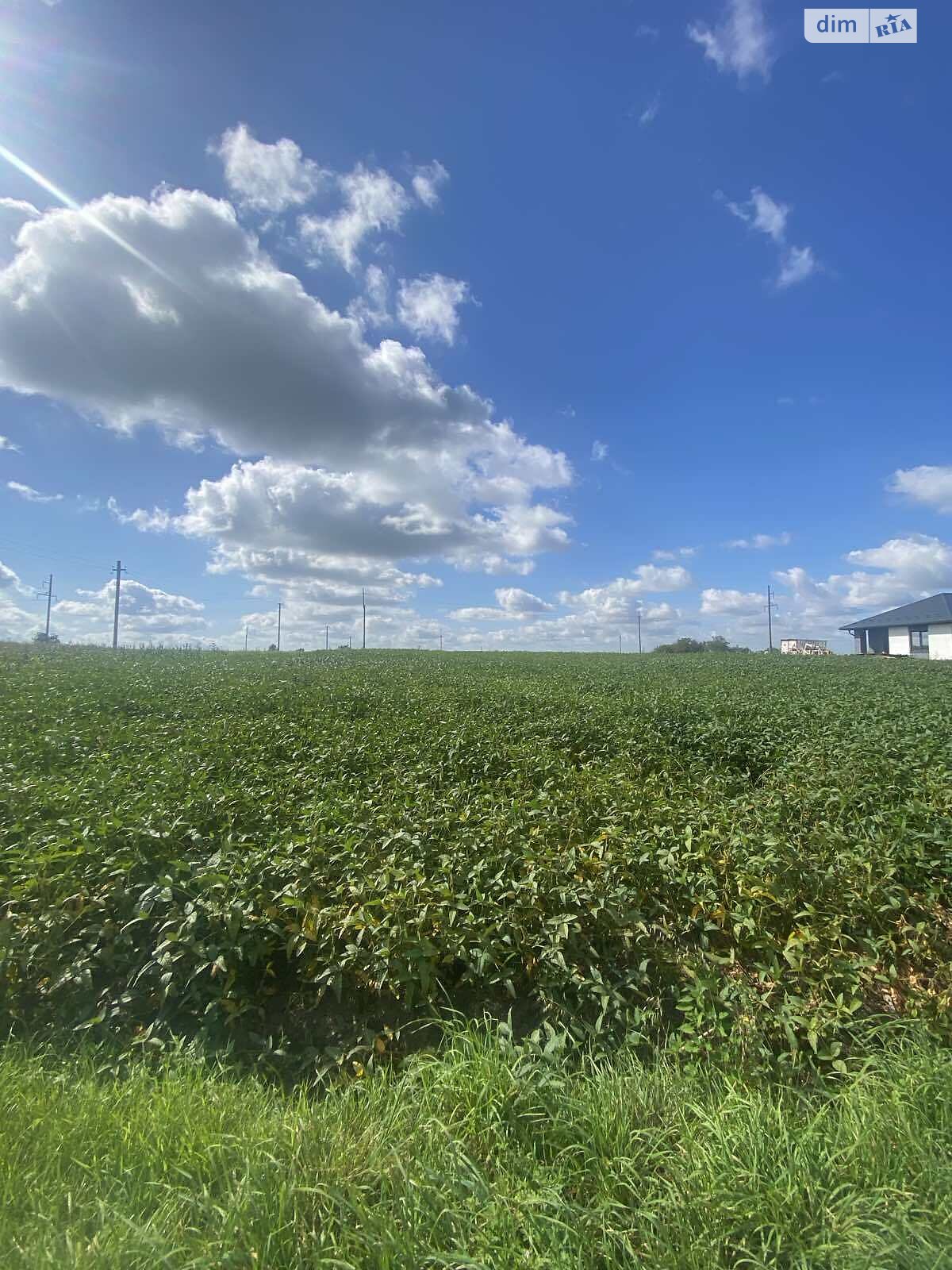 Земельна ділянка під житлову забудову в Білій Криниці, площа 16 соток фото 1 Земельна ділянка під житлову забудову в Білій Криниці, площа 16 соток фото 1